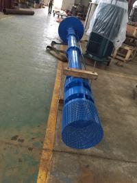 Vertical Long Shaft turbine pump