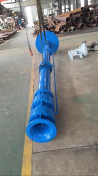 Vertical Long Shaft turbine pump