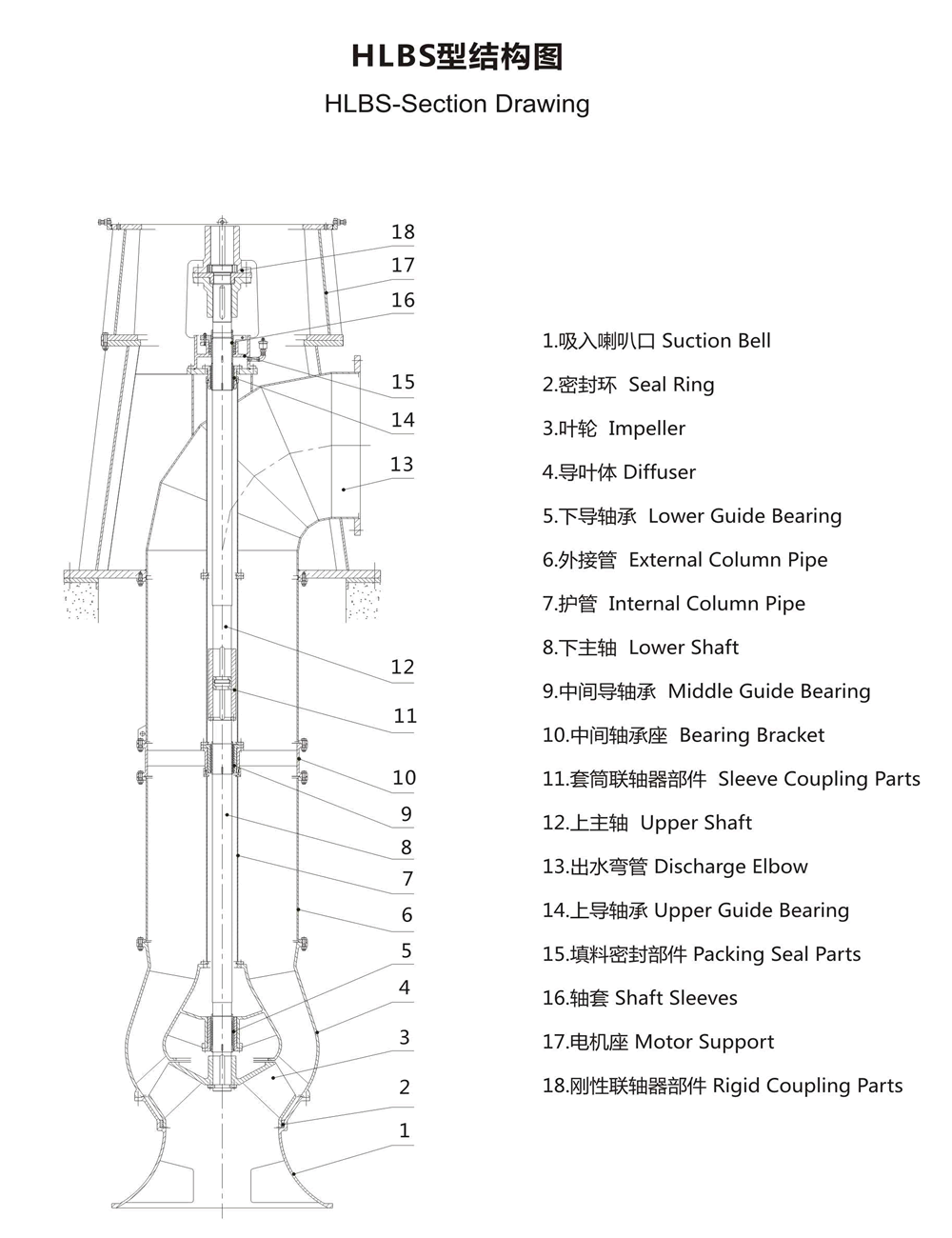 Structural Chart of HLBS Vertical Long Axis Oblique Flow turbine pumps