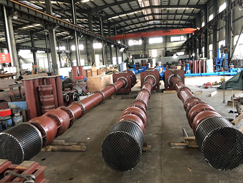 Deep Well Vertical Turbine (Borehole) Pumps