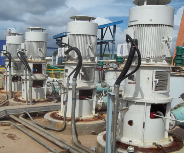 Vertical long-shaft seawater pump of Nanjia Power Plant