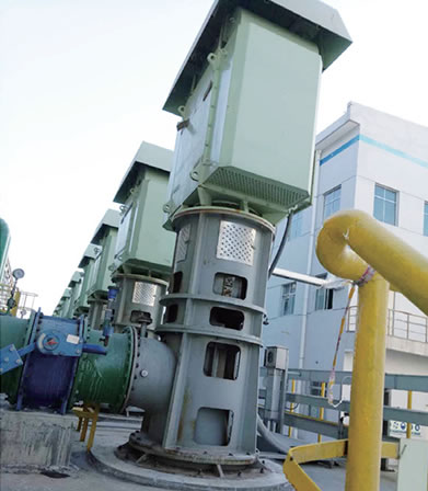 <b>Vertical turbine pump of Zhongtian Hechuang circulating water pump project</b>